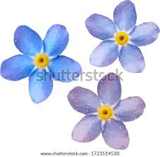 Check spelling or type a new query. Forget Me Not Flower Clip Art Forget Me Not Clipart Stunning Free Transparent Png Clipart Images Free Download