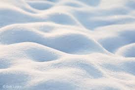 Посмотрите твиты по теме «#sneeuw» в твиттере. Blauwe Sneeuw Natuurfotografie