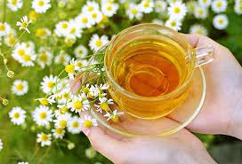 We did not find results for: Resep Membuat Teh Chamomile Manfaat Kesehatannya