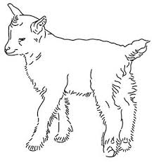 Select one of 1000 printable coloring pages of the category adult. Kid Baby Goat Goat Art Goat Line Drawing Goat Drawings