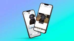 Cara Hapus Background Foto di iOS 16, Ini Fitur Foto Lainnya - TribunNews.com