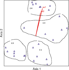 Image result for Ozoroa nigricans