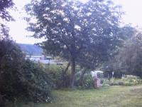 neu dhh mit kleinem grundstuck in niefern