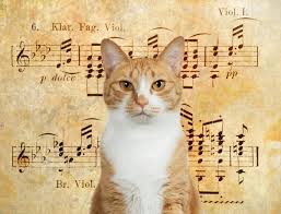 A Los Gatos Les Gusta La Musica Musica Relajante Para Gatos Te encanta la musica, te toca, toca, toca. a los gatos les gusta la musica