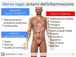 Nervo Vago Funzioni E Disturbi Sintomi Cause Cure E Rimedi Naturali Per L Infiammazione