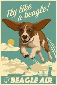 Fly Like A Beagle By Lantern Press Beagle Art Beagle Retro
