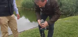 La seconde étape du tutoriel comment fabriquer un canapé en palette. Comment Utiliser Une Palette Pour La Chasse Du Pigeon Ramier Chassons Com