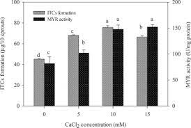 Effects Of Cacl2 On The Metabolism Of Glucosinolates And The Formation Of Isothiocyanates As Well As The Antioxidant Capacity Of Broccoli Sprouts Sciencedirect