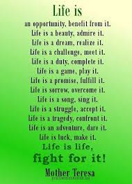 Use Your Words Home Decor Ideas Inspiring Quotes About Life Mother Teresa Quotes Best Inspirational Quotes