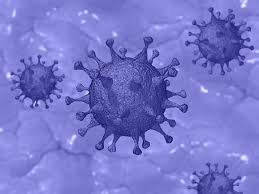 Public health authorities say all residents in the health district. Twelve New Cases Of Covid 19 Reported In Grey Bruce Tuesday Bayshore Broadcasting News Centre