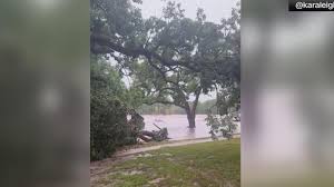 CBS News - News update