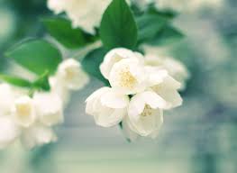 Maybe you would like to learn more about one of these? Knock Knock Melanie K Flickr