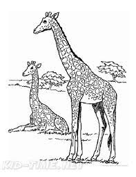 Dec 05, 2017 · 5. Giraffe Coloring Pages Free