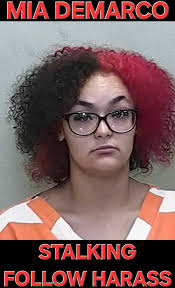 Mia Demarco #Mugshot #Florida #County #Lockup #Jail #Prison #Busted  #Incarceration #Crime #PublicInformation 🚔👀👮🏻‍♂️🕵🏻‍♂️🕵🏻‍♀️👮🏻‍♀️🚨  #Mia #Demarco