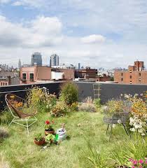 Dachgarten Gartenideen Gartentipps Naturgarten With Images Rooftop Garden Urban Garden Green Roof