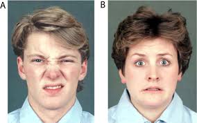Culture and facial expressions of emotion