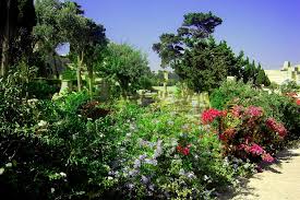 Current local time in locations in malta with links for more information (1 location). Cand SÄƒ Mergi La Malta Malta Sezonul De Recreere