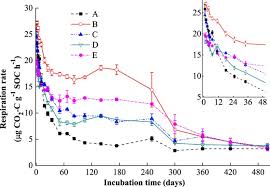Factors affecting soil formation pdf. Factors Controlling Soil Organic Carbon Stability Along A Temperate Forest Altitudinal Gradient Scientific Reports