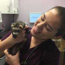 Melissa Fiske's Instagram, Twitter & Facebook