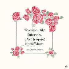 Valentine flowers images and quotes. 100 Heart Melting Valentine S Day Quotes Valentine S Day Quotes Valentine Quotes Quotes About Flowers Blooming