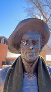 Take a scrolling break and listen to the harp ✨ Meet Catherine DeLong,  harpist and Zion National Park's June 2025 artist-in-residence. People  don't expect to see a harp in a national park,