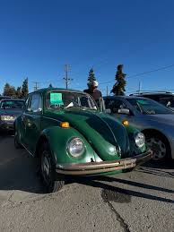 Image result for Delta Green 1968 Beetle