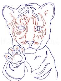 How do you draw a tiger head? How To Draw A White Bengal Tiger Cub Step By Step Drawing Guide By Kanashimi No Hoshi Dragoart Com
