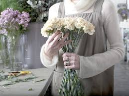Where are the seeds found in most fruits? Coloring Carnations Science Experiment