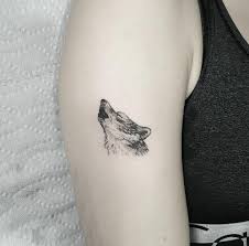 Check spelling or type a new query. 45 Best Wolf Tattoo Designs In 2021 Tattooshopreviewed