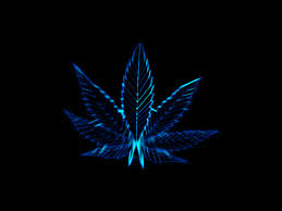 Best 43 Drugs Wallpapers On Hipwallpaper Drugs Wallpapers Alcohol Drugs Wallpaper And War On Drugs Wallpaper 79 listings of hd drugs wallpaper picture for desktop, tablet & mobile device. best 43 drugs wallpapers on
