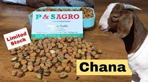 Feed intake was stable (cruz et al., 2015), or slightly lowered (odunsi, 2002). Chana For Goats P S Goat Feed Limited Stock Offer Youtube