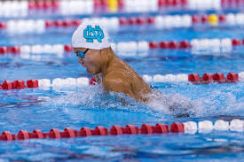 Swimming: All three Oldham County schools produce multiple winners at  regionals