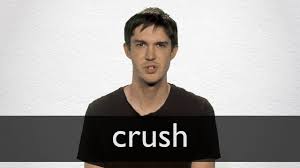 Crush Definition And Meaning Collins English Dictionary