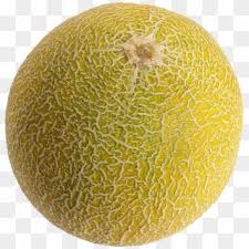 Cocomelon png images free / sliced canary melon, honeydew cantaloupe santa claus melon canary melon galia melon, melon, food, melon, fruit png. Melon Png Transparent For Free Download Pngfind