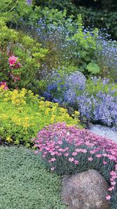 Check spelling or type a new query. Pond Plants For High Foot Traffic Pond Trade Magazine