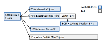 Lettre de motivation formation : Definition De La Process Communication Model