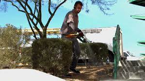 In it, players must defend an npc known as the void knight from an onslaught of monsters. A Do It Yourself Pest Control Store In Las Vegas Nv With Reviews Yp Com