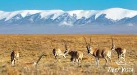 15 Pictures of Tibetan Plateau: Get Your First Impression of ...
