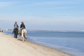 Reiterhofe An Der Ostsee Reiten Und Urlaub