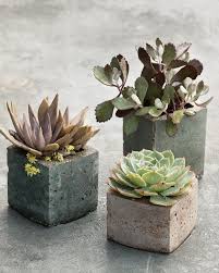 A diy planner can reflect your personal style, be customized for your schedule, and help you get organized and accomplish what you need to do. Pots With A Personal Touch Hypertufa Martha Stewart