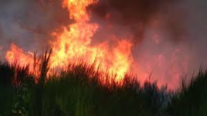 A fire sprinkler system is an active fire protection method, consisting of a water supply system, providing adequate pressure and flowrate to a water distribution piping system, onto which fire sprinklers are connected. Feu De Foret Au Nord De Limoges L Incendie N Est Toujours Pas Maitrise