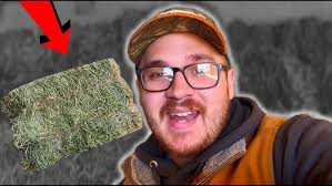 Hay Quality and Forage Testing