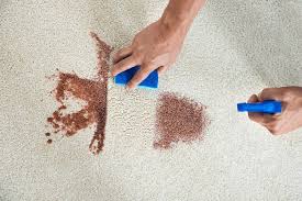 Bloodwood often holds tension which makes it prone to twisting and warping, so it is best used in small pieces or as an accent. How To Get Blood Out Of Carpet 8 Easy Methods Floor Care Kits