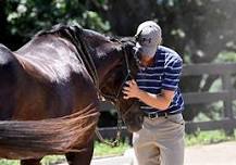 Beaux Reves Equestrian-Michael Alway Horsemanship Clinic