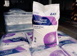 Get water soluble fertilizer at best price from listed companies as per your buying requirements. Tuyen Nguyen Tuyenng95233585 Twitter