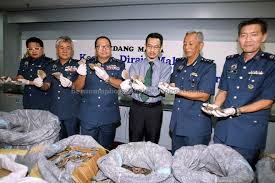 Kalendar aktiviti lihat aktiviti terkini. Kastam Klia Rampas 712kg Sisik Tenggiling Rm9 18 Juta Utusan Borneo Online