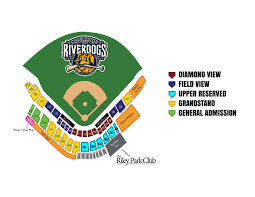 Box Office Hours Riverdogs