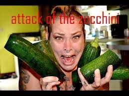 Wash a whole zucchini or squash and chop it into 1⁄4 in (0.64 cm) slices. Attack Of The Zucchini Feeding Vegetables To Our Fish And Inverts Youtube