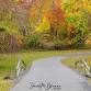 **FREE** Autumn Colors Photo Walk at Terrapin Park event image