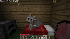 Let's explore how to make a cyan bed. Minecraft Dog In My Bed By Rddy0011 On Deviantart